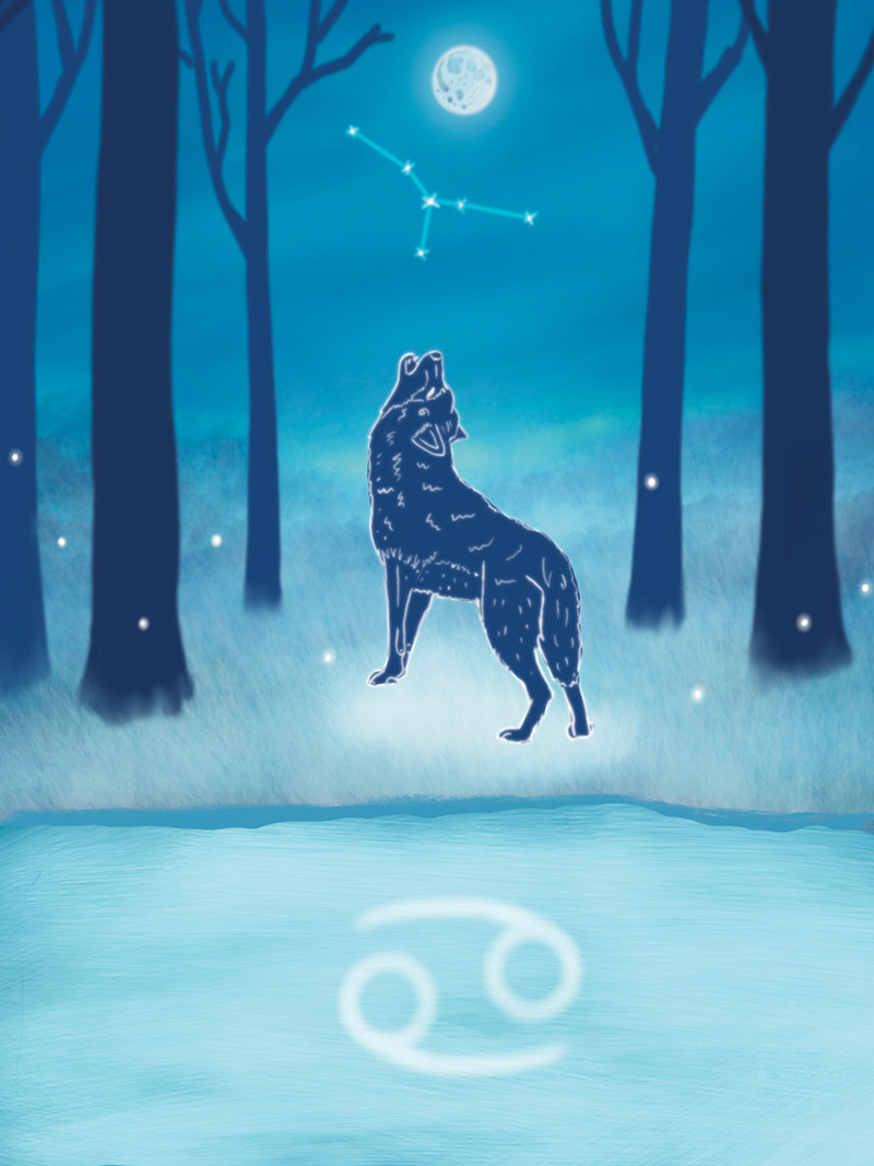 wolf full moon